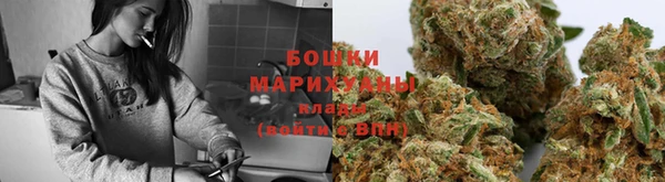 амф Богданович