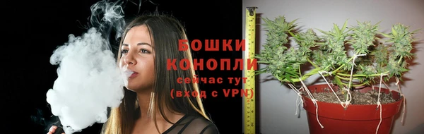 амф Богданович