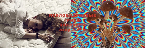 амф Богданович